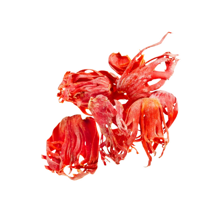  Jathipathiri on a white background