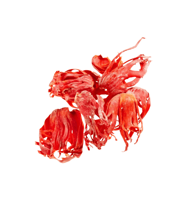  Jathipathiri on a white background