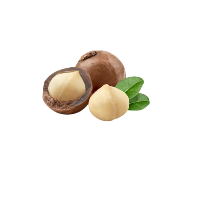 Macadamia nut with shell and leaf on a white background