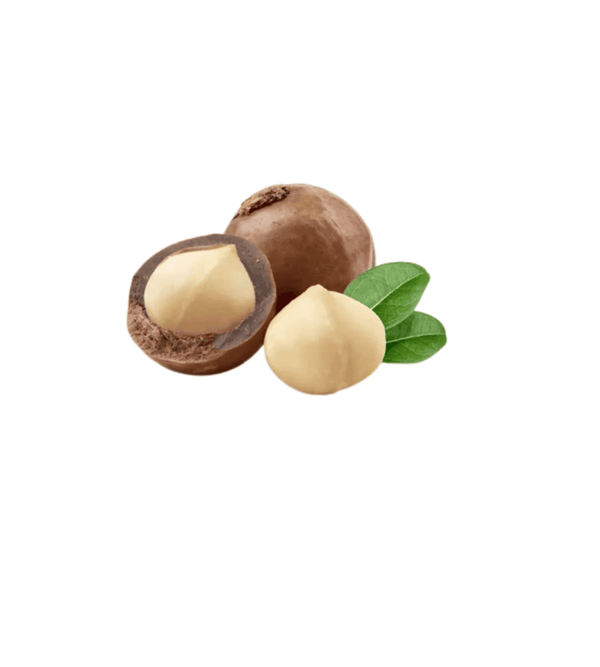 Macadamia nut with shell and leaf on a white background