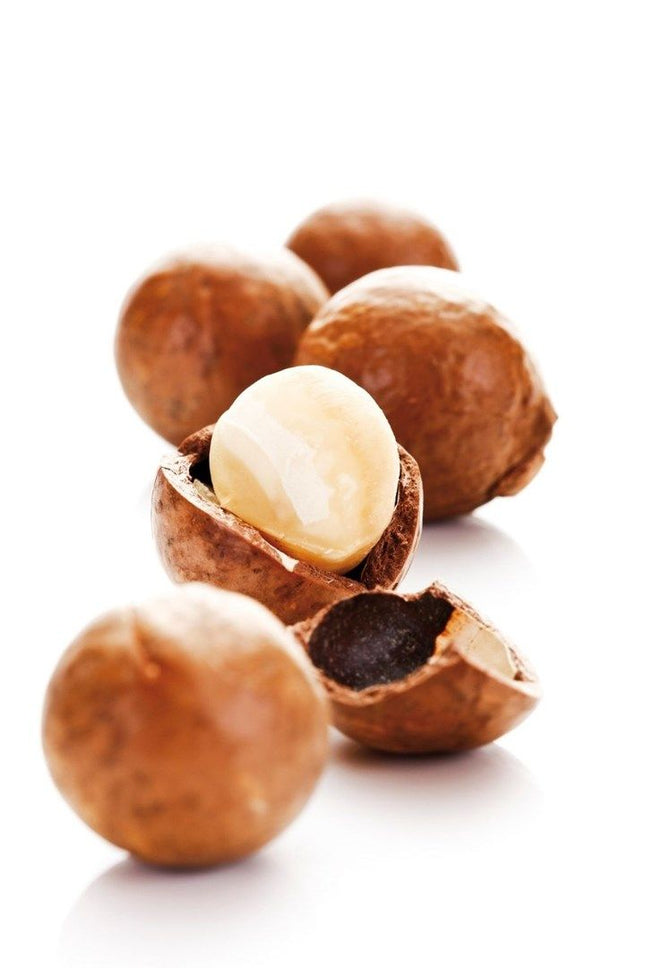 macadamia