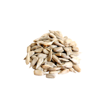 Pile of sunflower seeds on a white background