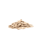 Pile of watermelon seeds on a white background