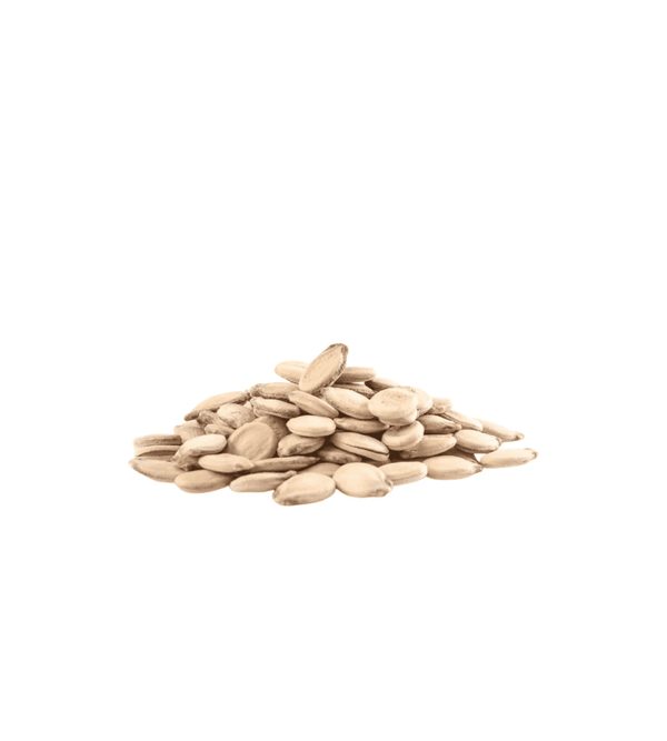 Pile of watermelon seeds on a white background