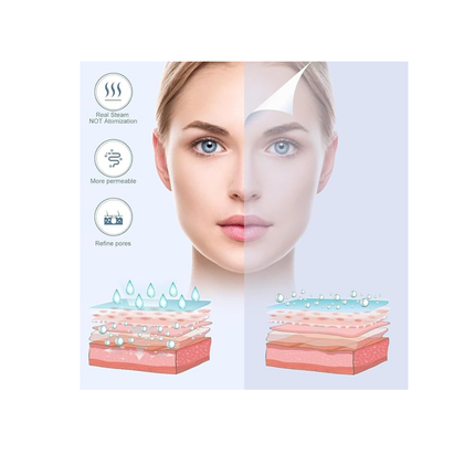 2 in 1 Facial Steamer and Hair Steamer